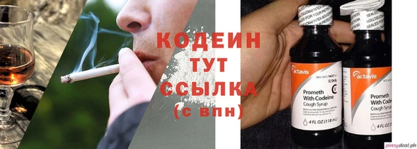 шишки Ростов