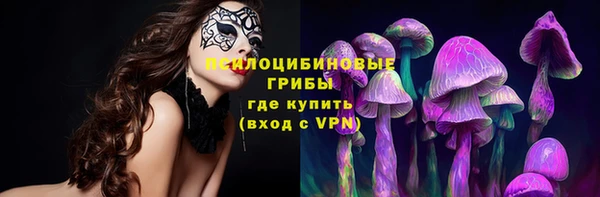хмурый Алзамай