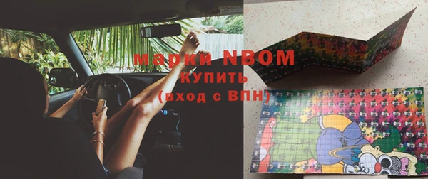 хмурый Алзамай